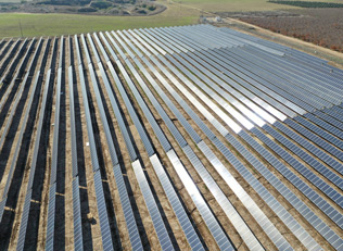 חווה קרקעית בית שקמה